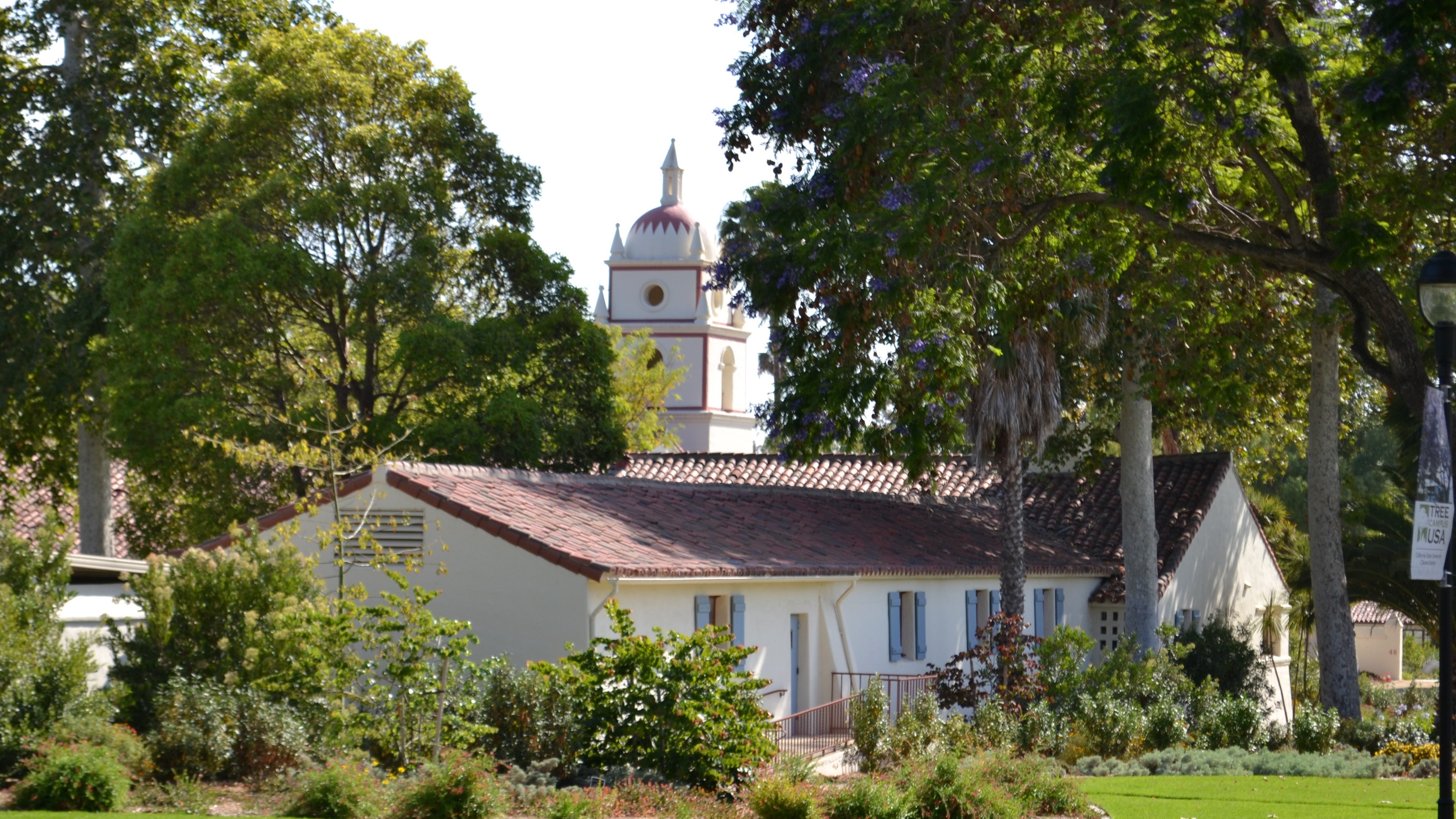 TLA Los Angeles Summer Program - California State University